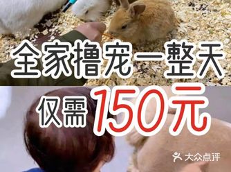 全家撸宠一整天，仅需150元