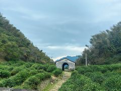-仙霞关景区