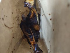 扇骨-王裕興肉莊(南禅寺店)