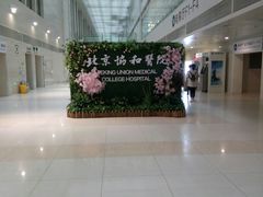 -北京协和医院(东单院区)