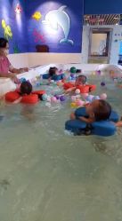 -欢乐悠游婴儿游泳(金碧花园店)