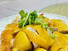 姜汁白切鸡-洪霞餐馆