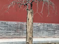 -南阳卧龙岗武侯祠