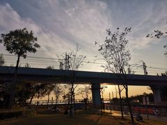 -宝安西湾红树林湿地公园