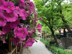 -北京水岸山吧度假村(雁栖镇店)