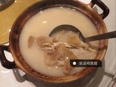 鸡煲翅-凤城礼记鱼翅海鲜酒家(新马路总店)