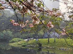 -四海公园(南山区)