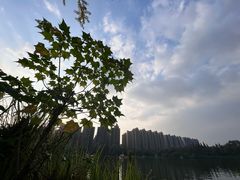 -成都南湖公园
