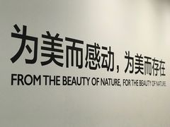 大厅-罗红摄影艺术馆