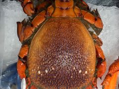 -盒马鲜生(顺义店)