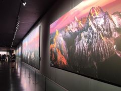 -罗红摄影艺术馆