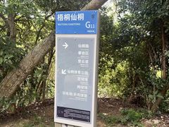 -华侨城湿地公园