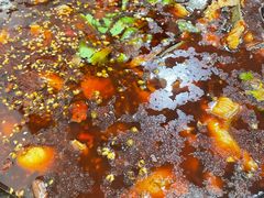 -云溪河冷锅鱼(成都玉林小吃街店)
