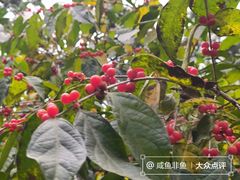 -香山公园