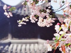 -莫愁湖公园