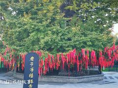 -终南山古楼观历史文化景区