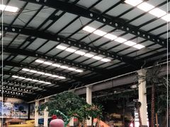 -南宫温泉水世界