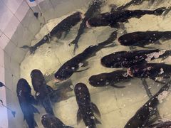 -春盛渔府(牛首山店)
