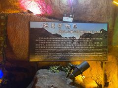 -游龙石文化科普馆