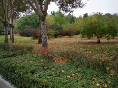 -长春公园(普阳街道)