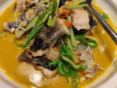 -饭怕鱼(阳光100店)