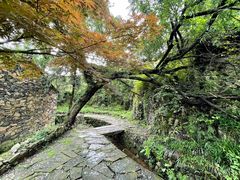 -许家山