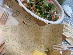 -油梨树AVOCADO TREE(望京店)