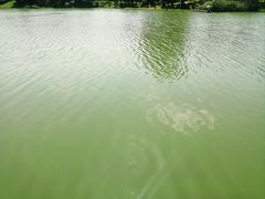 -美兰湖景区