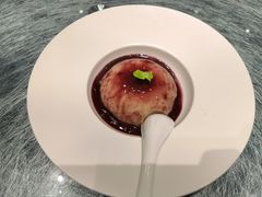 -丁老爷子苏香圆