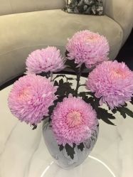 点击看大图 -半岛故事·法儿曼抗衰·indiba中心