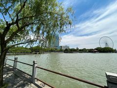 -无锡蠡湖国家湿地公园-蠡园