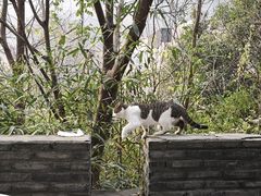 -灵顺寺