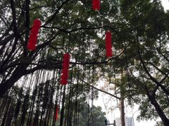 -晓港公园