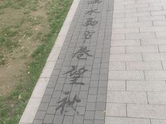 -迎泽公园