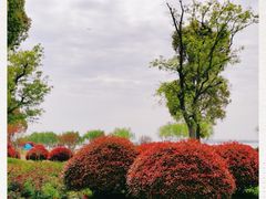 -漕湖湿地公园