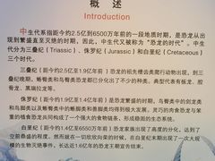 -安徽省地质博物馆