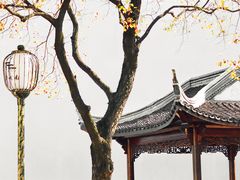 -老门东历史文化街区