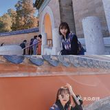 北京旅游攻略｜红墙绿瓦诗意盎然｜天坛公园