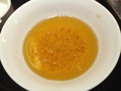 料-蜀九香火锅(九眼桥店)