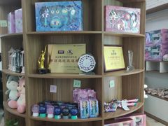 -舞蕾舞蹈(特长生校区)