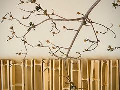 -BOCATA 西班牙餐厅(三里屯店)