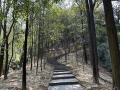 -火炉山森林公园