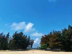 -东郊椰林