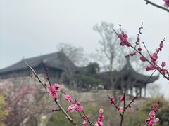 -广富林郊野公园