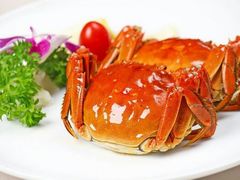 阳澄湖大闸蟹-宜宾海鲜酒家·三十年老字号