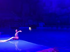 -芜湖新华联大白鲸海洋公园