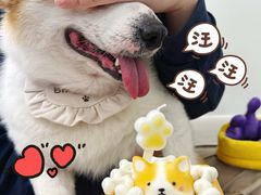 -好利来(上海长宁龙之梦店)