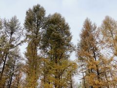 -坝上草原大汗行宫旅游景区