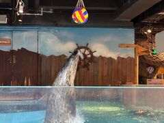 -萌宠奇缘(荣鼎店)