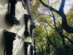 -也枫·小黄楼(南山路旗舰店)